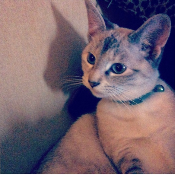 Meet your Posher, Amy Kathleen ๐ Posh Ambassador ๐ - Picture 5 of 10